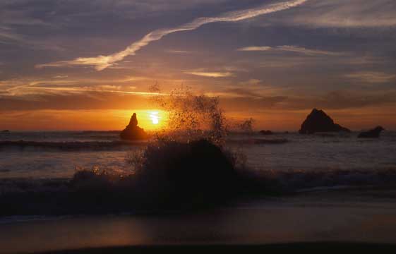 Sea Stacks at Sunset, Northern California.