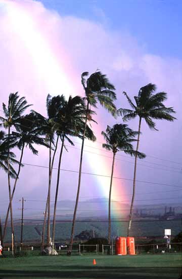 Porta Pot of Gold