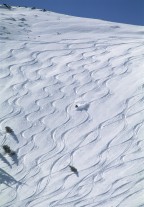 Last Tracks of the Season, Alpine meadows