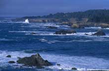 Mendocino Coast