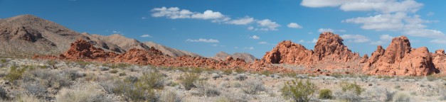 Desert Big Horn, Valley of Fire NV, state park