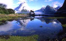 Clearing Mist, Milford Sound NZ